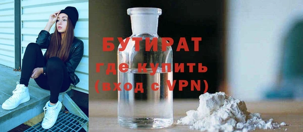 индика Алзамай