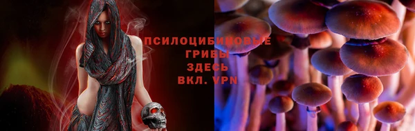 гашиш Арсеньев